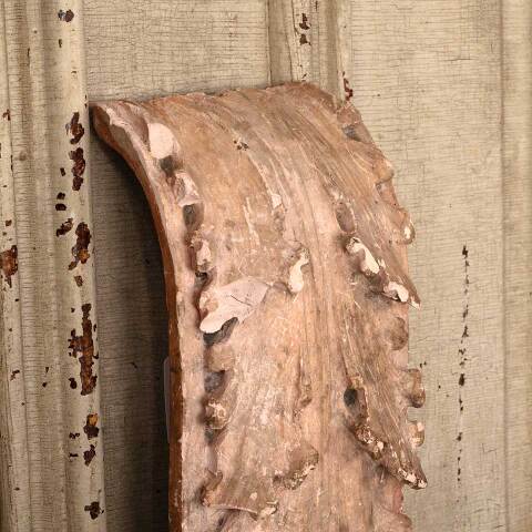 #52887 Architectural Plaster Acanthus Leaf Ornament image 2